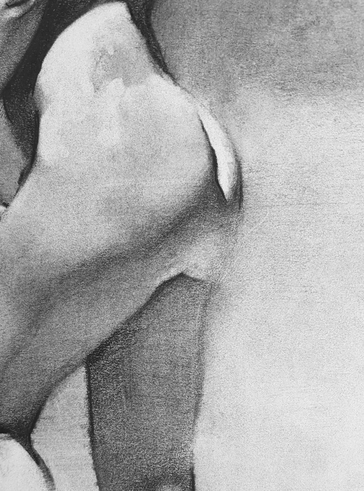 Shaun Othen, Charcoal Study 9