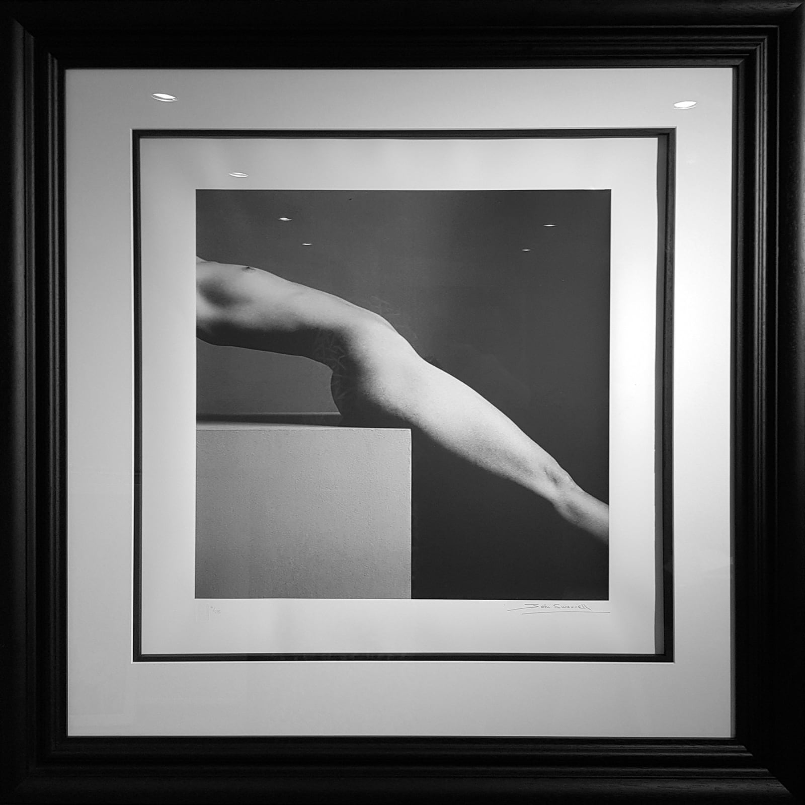 John Swannell, Diagonal Nude