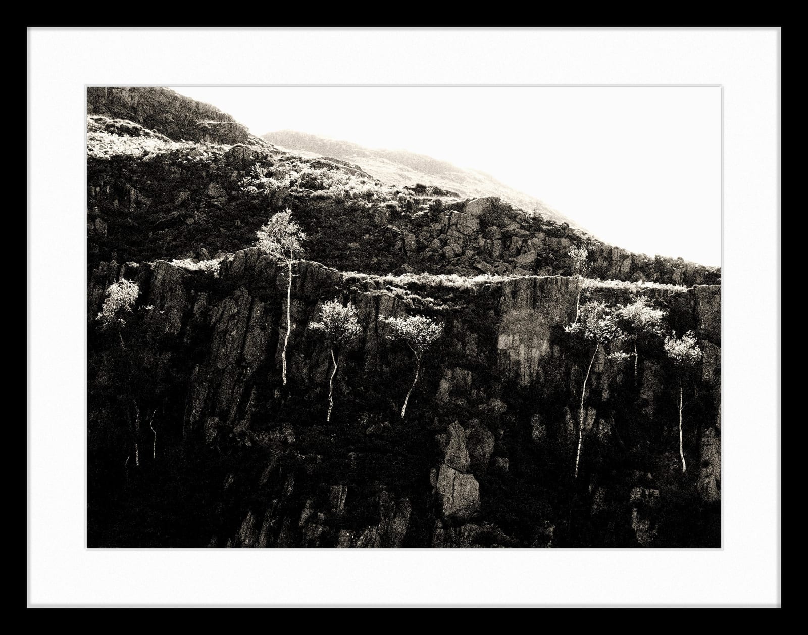 Jack Thompson, The Trees on Austhwaite Brow