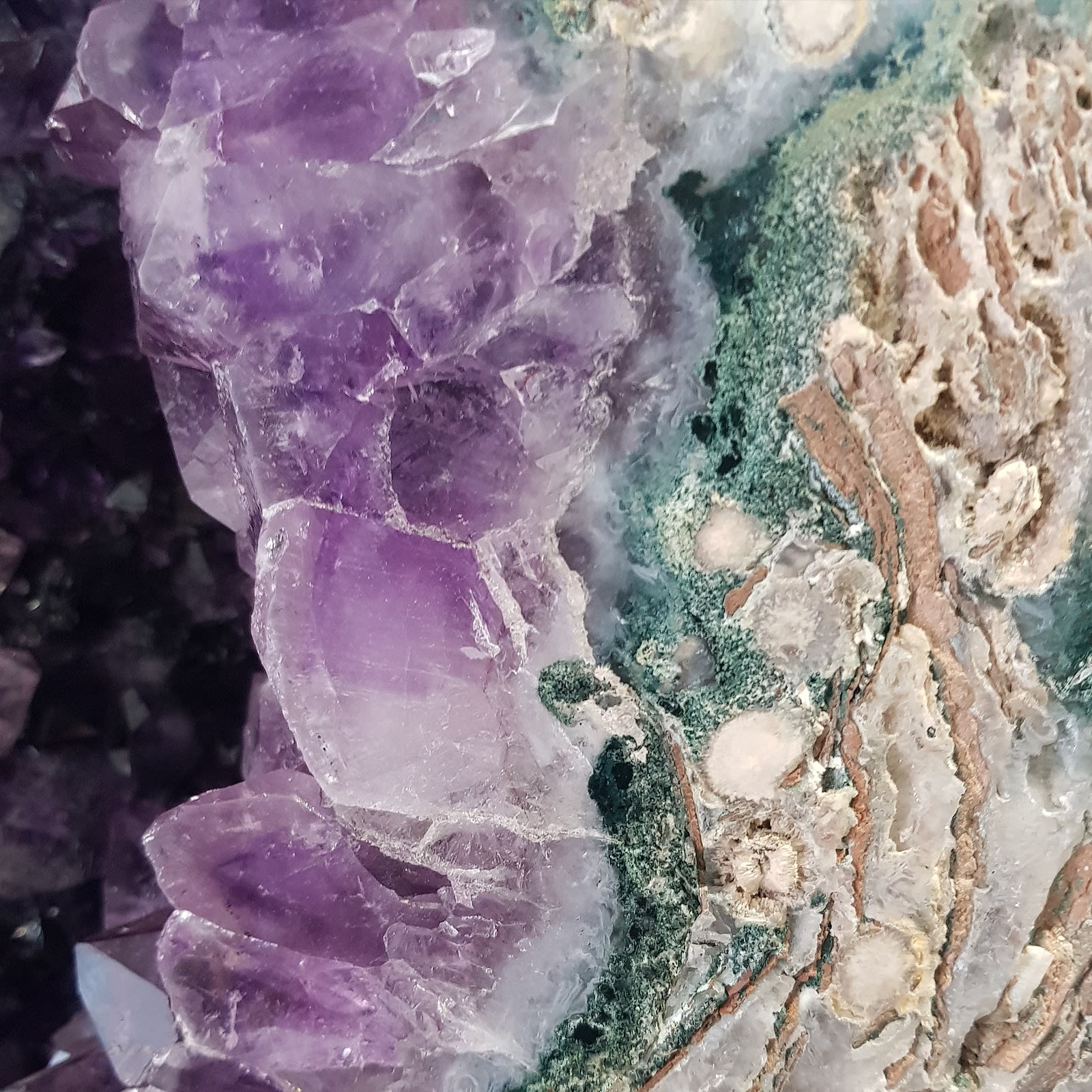 Ancient Art Crystals, Extra Large Amethyst Butterfly Wings II