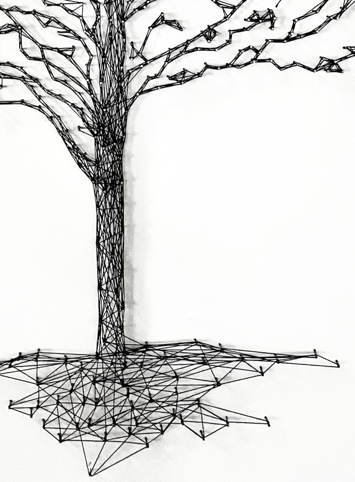 Imogen Morris, Princess Tree, St Peter’s Square, Manchester, 2025