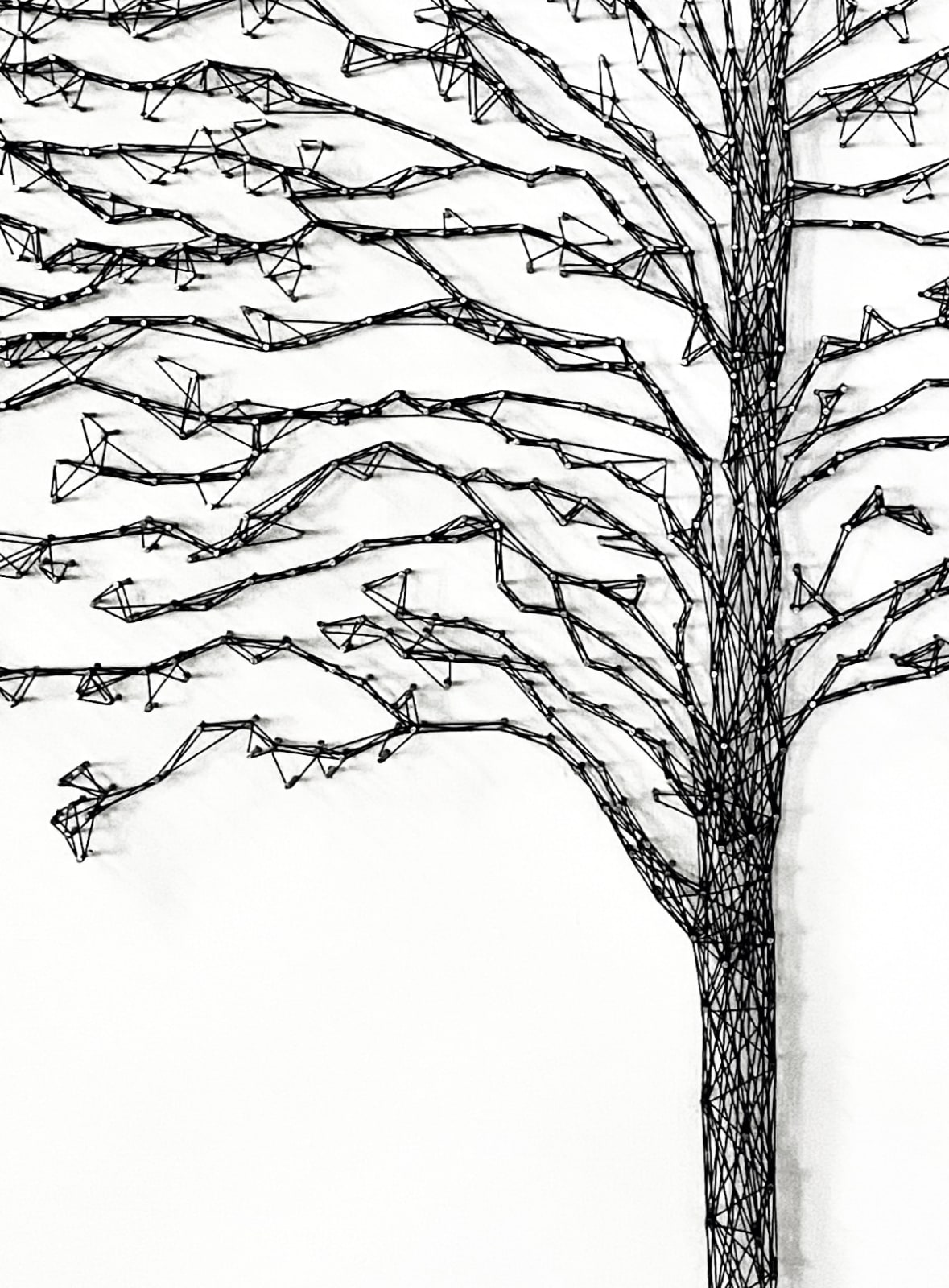 Imogen Morris, Princess Tree, St Peter’s Square, Manchester, 2025