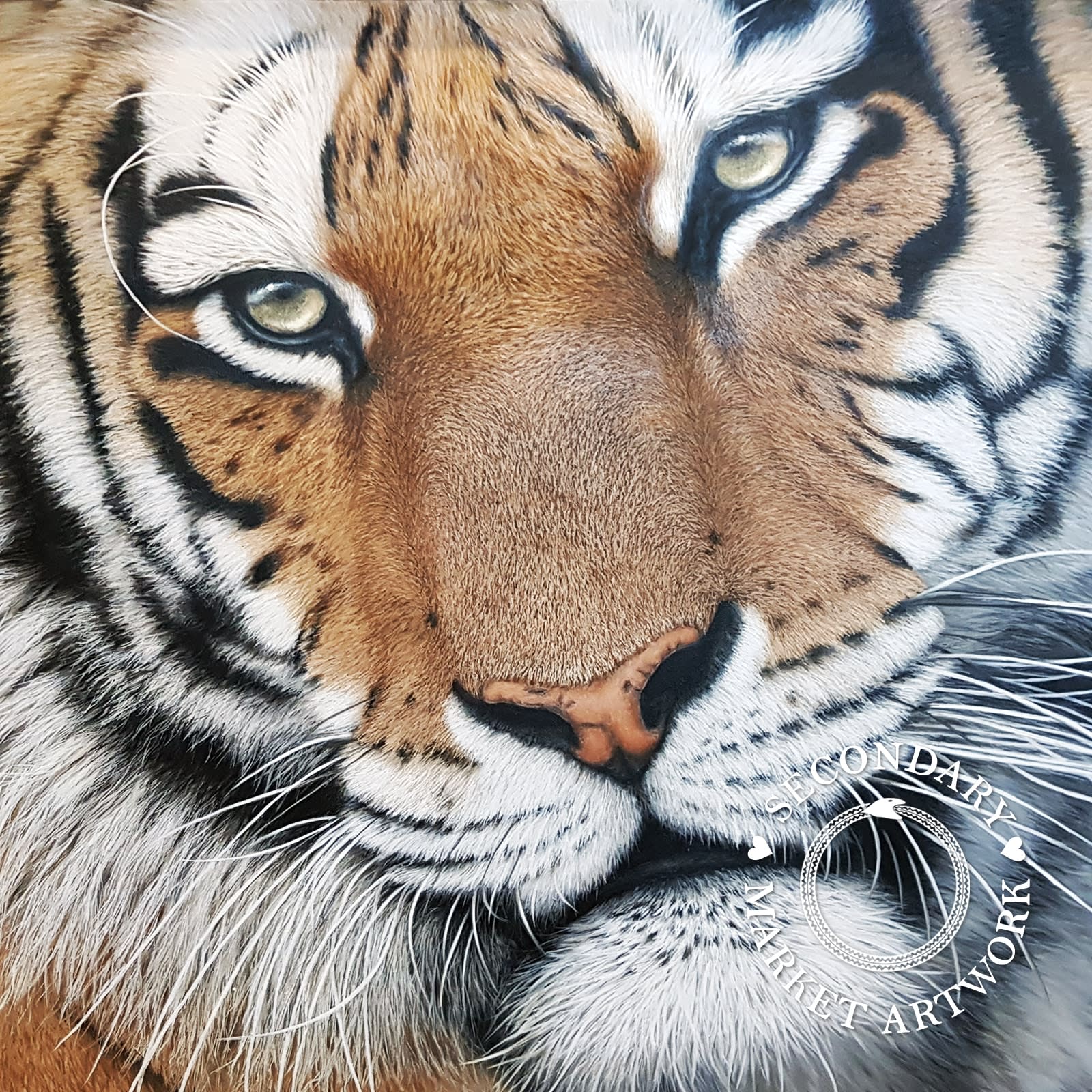 Krisztina Lencses, Tiger Stare, 2019