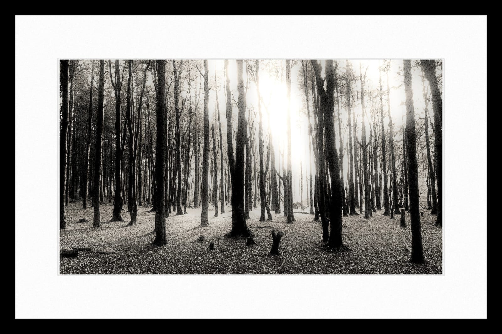 Jack Thompson, Stepping Into The Light 2