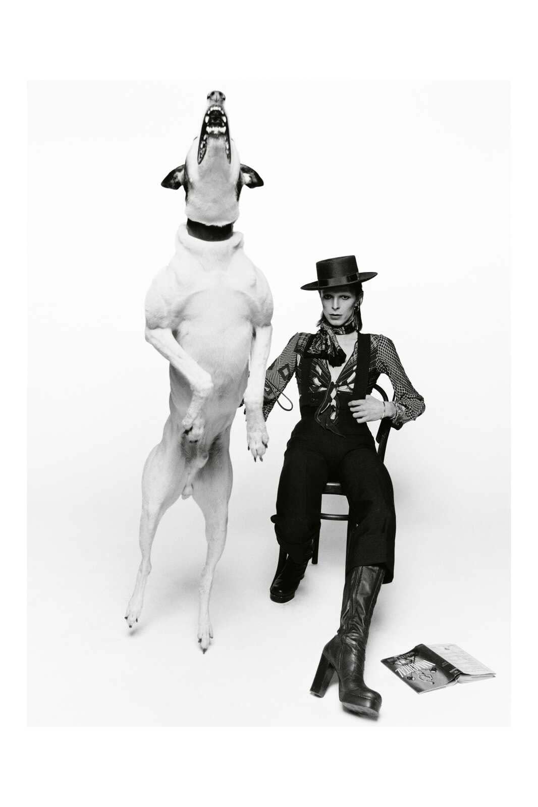 Terry O'Neill, David Bowie, Diamond Dogs 1974, 1974