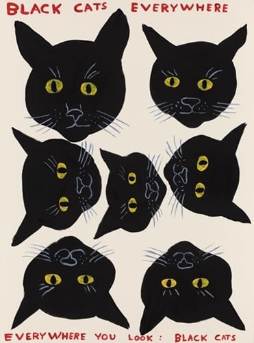 David Shrigley, Black Cats Everywhere , 2022