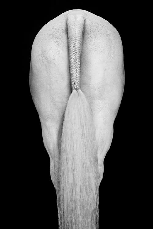 Drew Doggett, Align-III, 2019