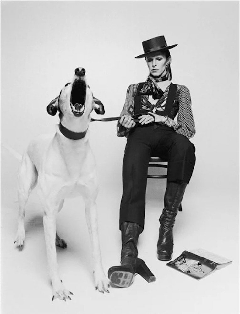 Terry O'Neill, David Bowie Diamond Dog 1974 view 2, 1974