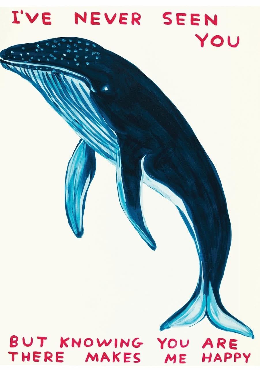 David Shrigley, I've Never Seen You, 2020