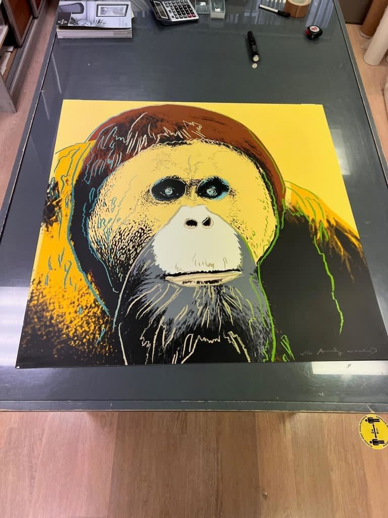 Andy Warhol, Orangutan, from Endangered Species (F. & S. 299