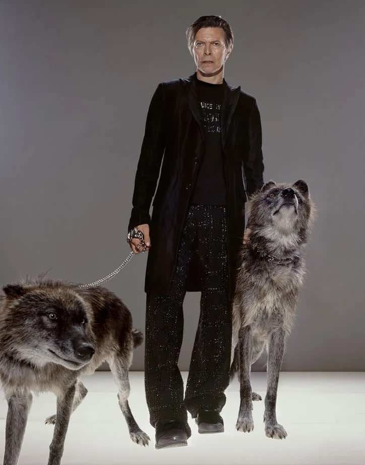 Markus Klinko, David Bowie The Hunt, 2002