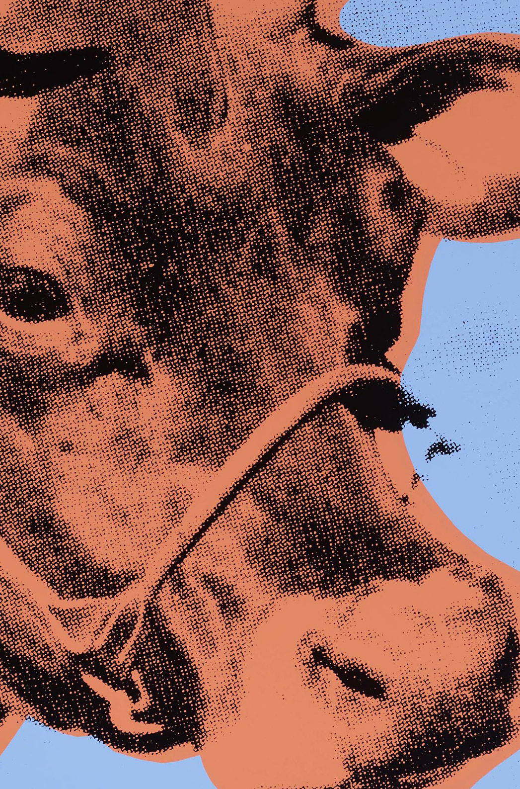 Andy Warhol, Cow (F&S II.11A), 1971