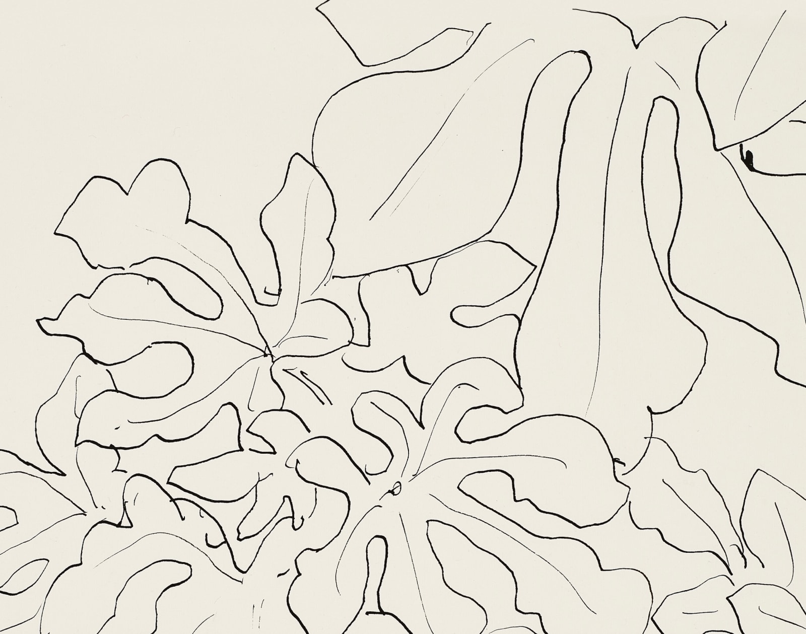 Henri Matisse, Feuillage d'un arbre, 1941