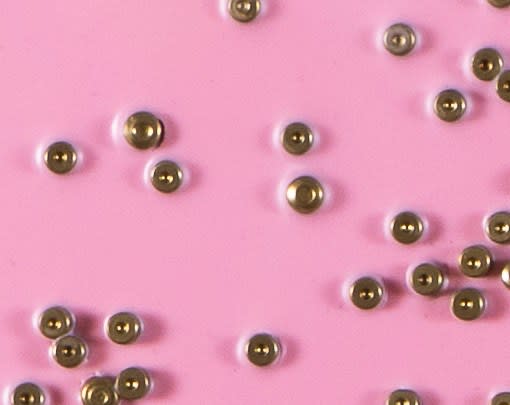 Holly Ballard Martz, Love Hurts (Love You To Death), 2019