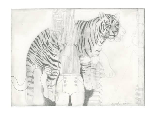 Hibiki Miyazaki, Walking With The Tiger, 2020