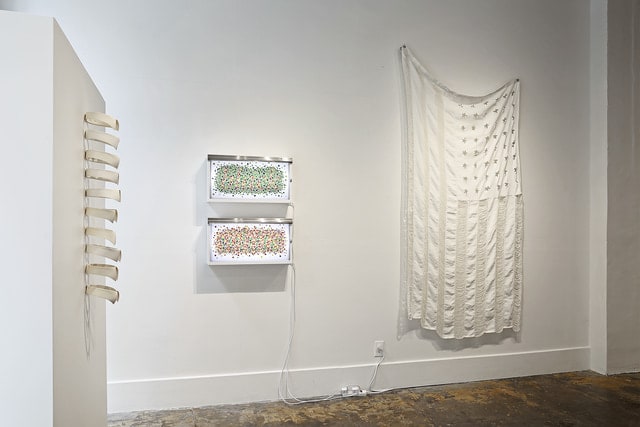 Holly Ballard Martz, Old Glory (whitewashed and threadbare), 2018