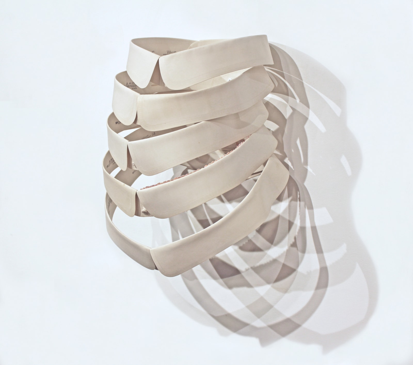 Holly Ballard Martz, Spare Rib, 2020