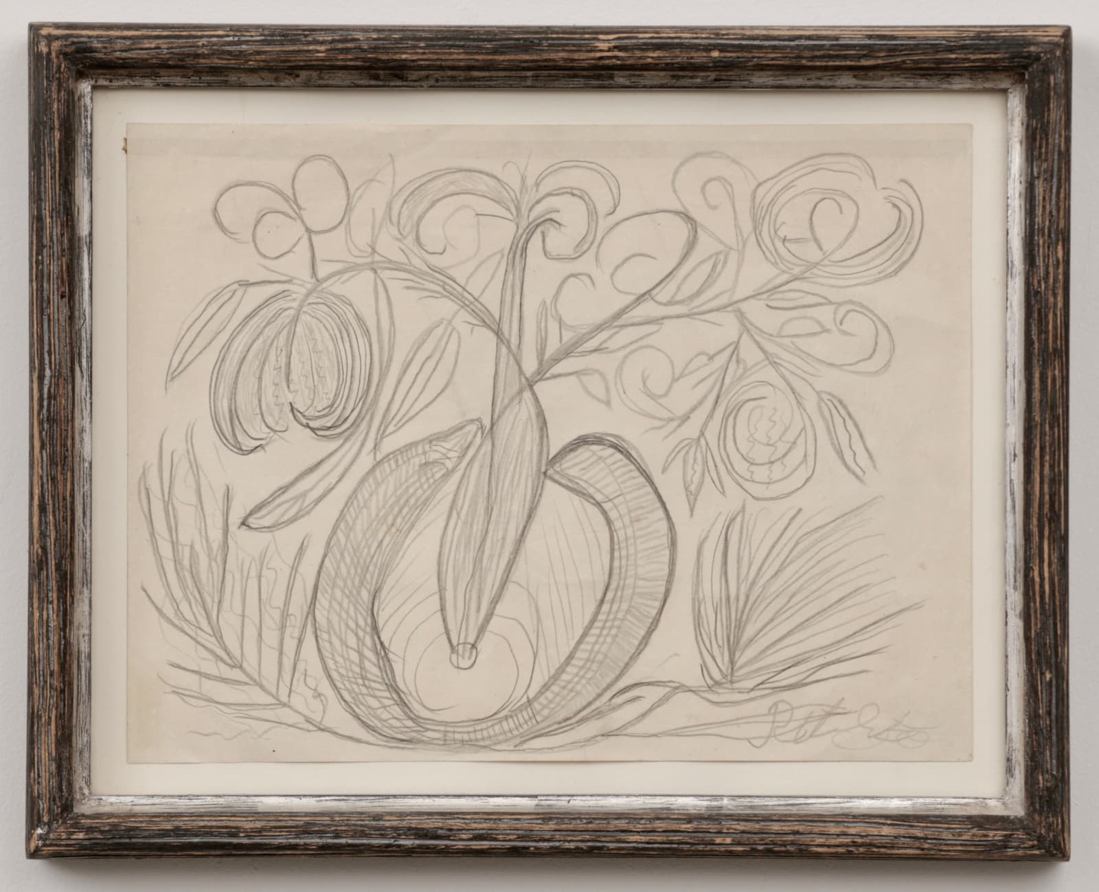 Robert Saint-Brice, Paquet Congo, 1955