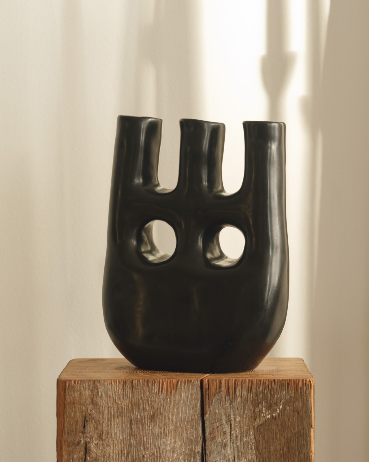 Black Vase
