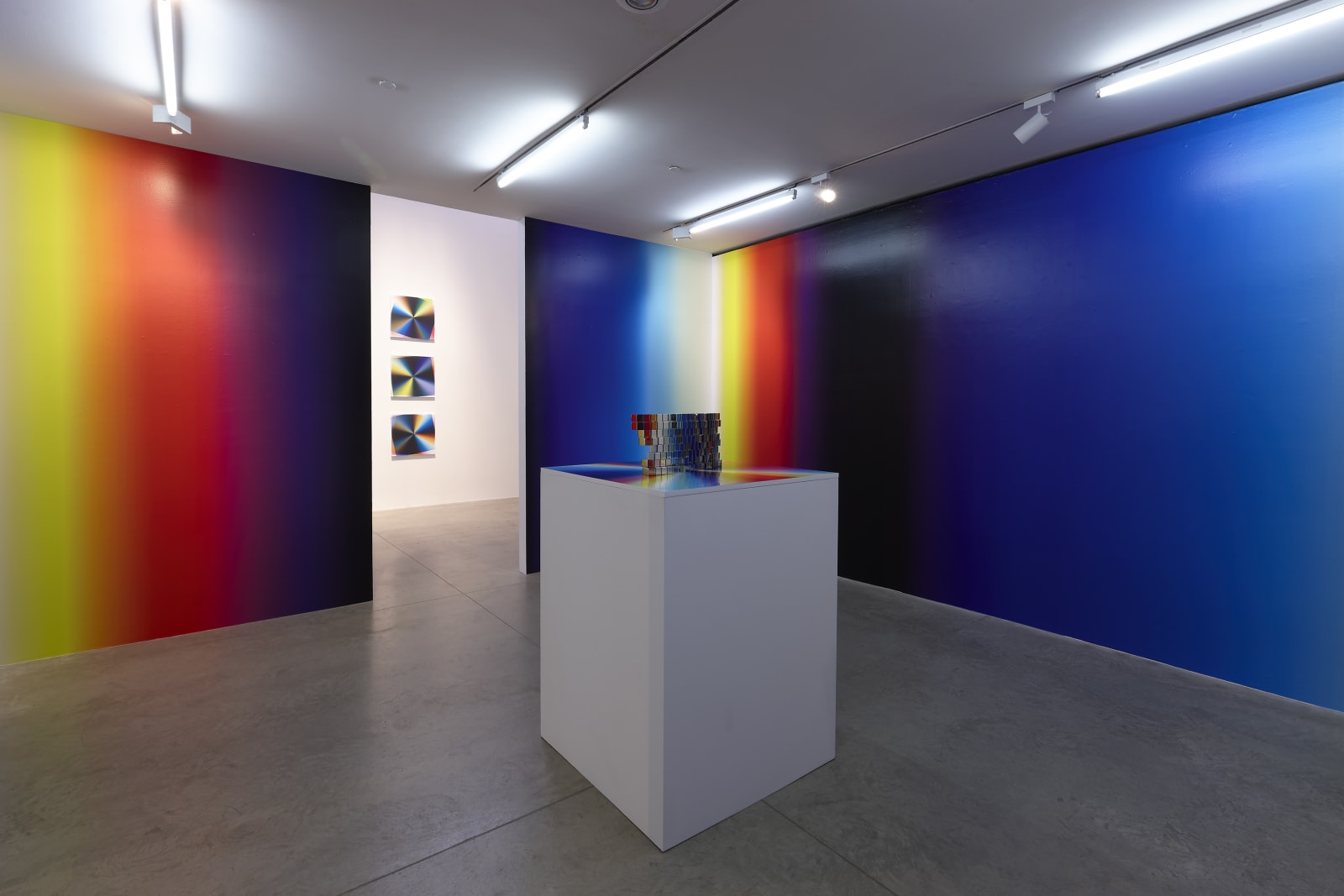 Felipe Pantone: Metallic Contact, albertz benda, NY. April 7 - May 14, 2022. Photo: Thomas Mueller