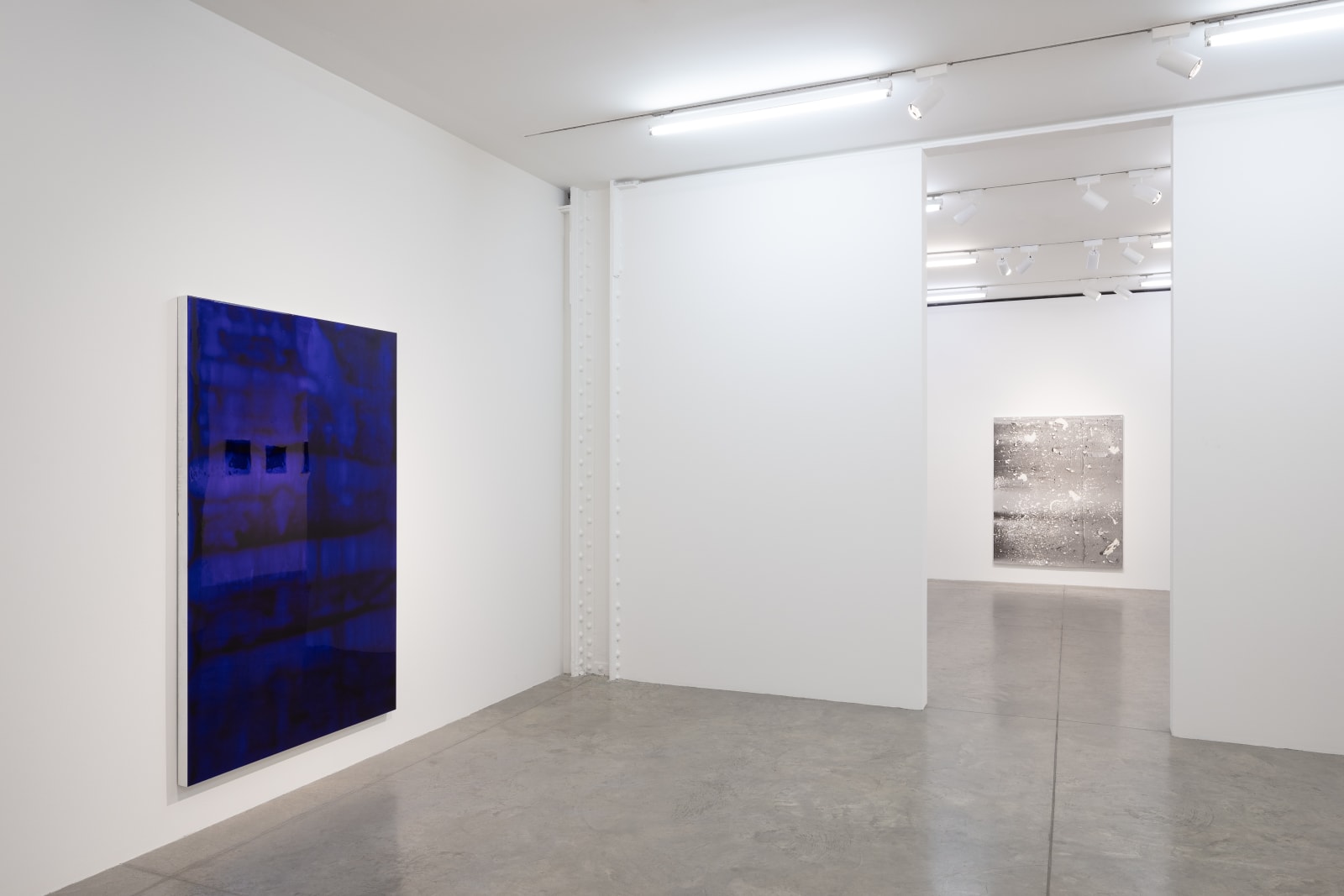 Thomas Fougeirol & Carrie Yamaoka: a crack in everything. January 10 - February 16, 2019. albertz benda, New York.