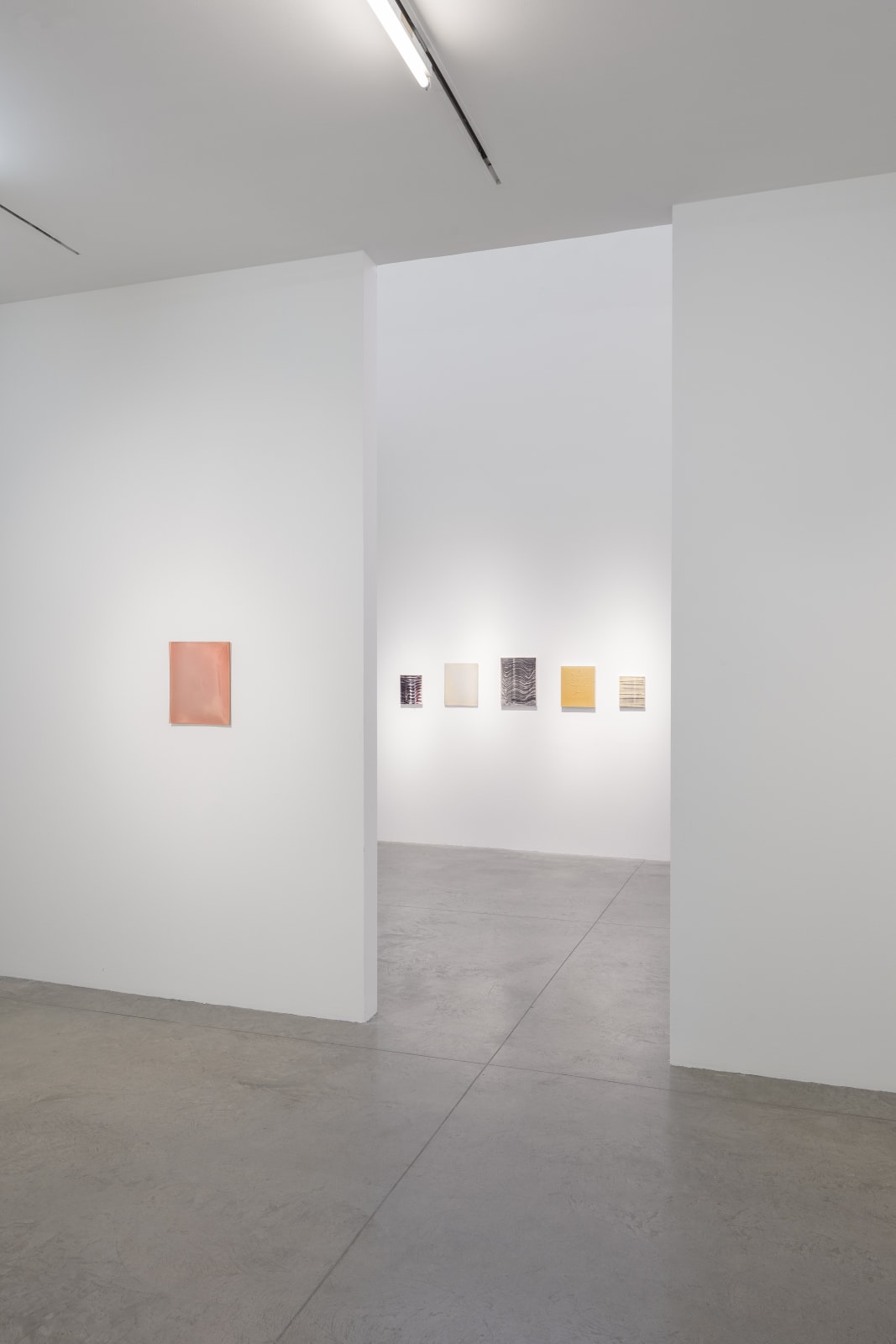Thomas Fougeirol & Carrie Yamaoka: a crack in everything. January 10 - February 16, 2019. albertz benda, New York.