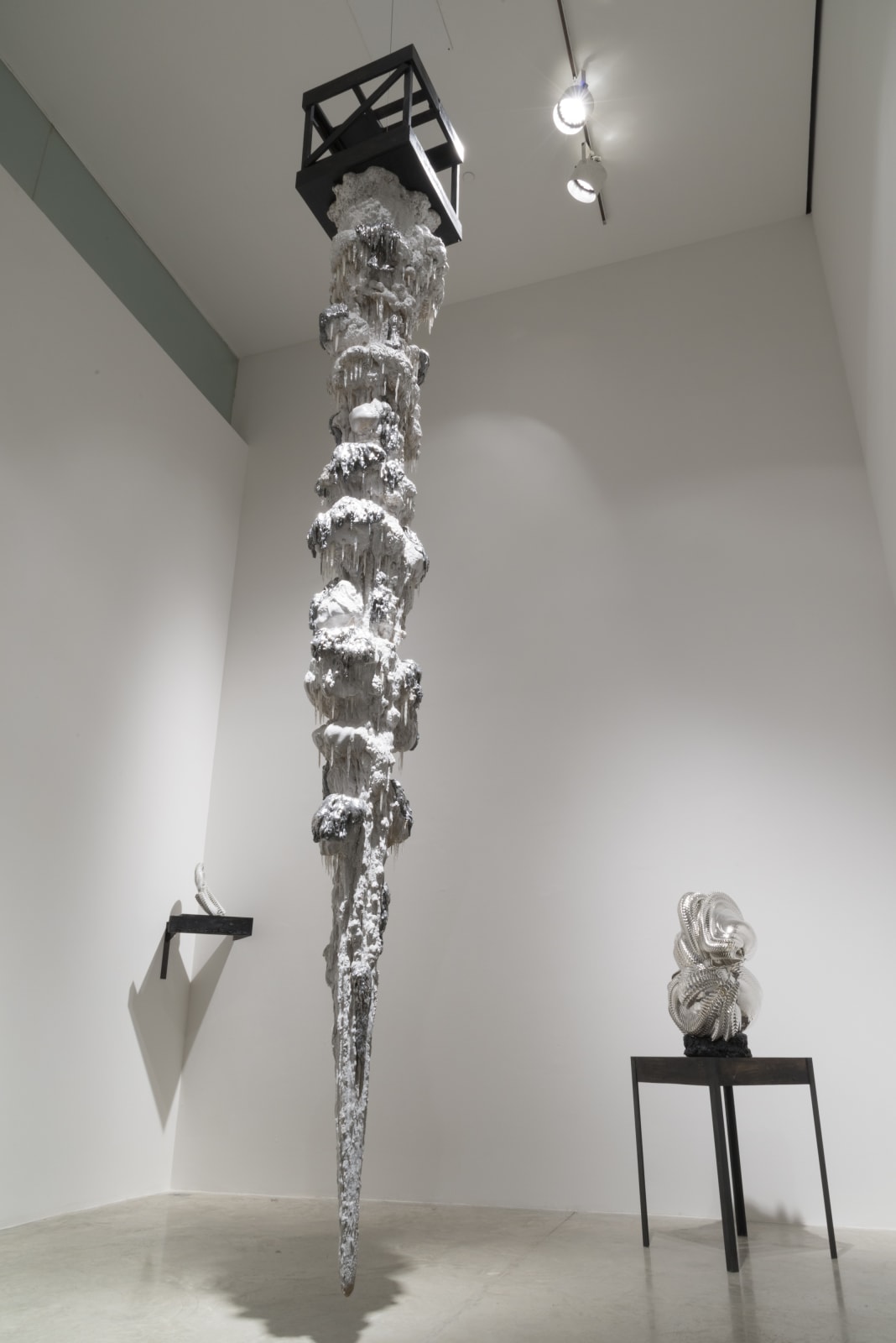 Skeleton (torso), 2016