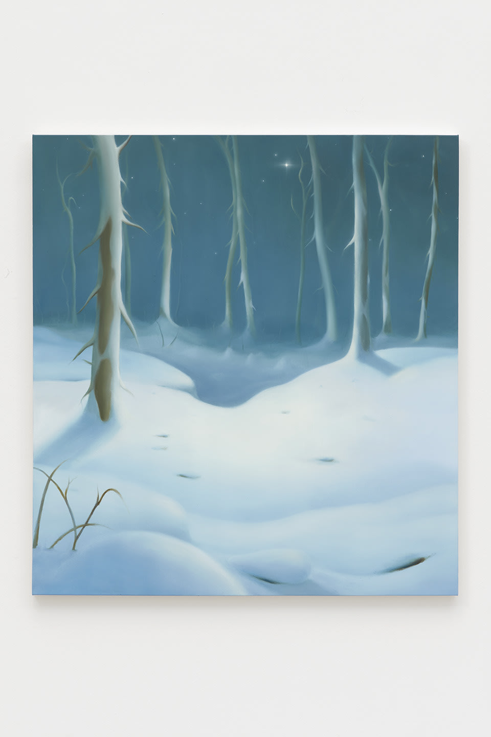 Sarah Lee, The North Star, 2023