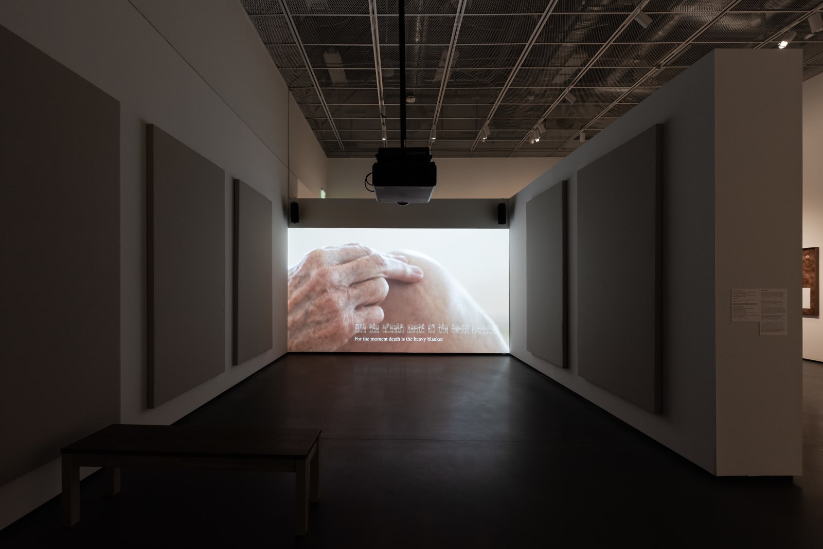 Installation view: Phillip Byrne, Beatriz Cortez, Kang Seung Lee, Candice Lin: Entangled Writing, Jan Shrem and Maria Manetti Shrem Museum of Art, Davis, California, 2024. Photo: Muzi Rowe