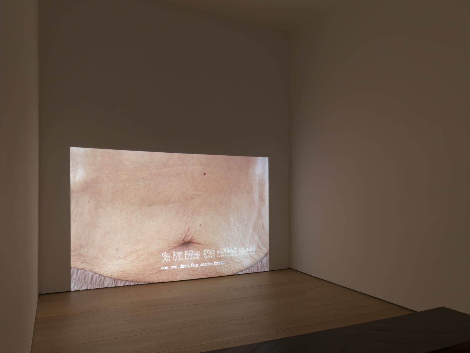 Installation view: Kang Seung Lee: Body of Memory, Alexander Gray Associates, New York, 2025
