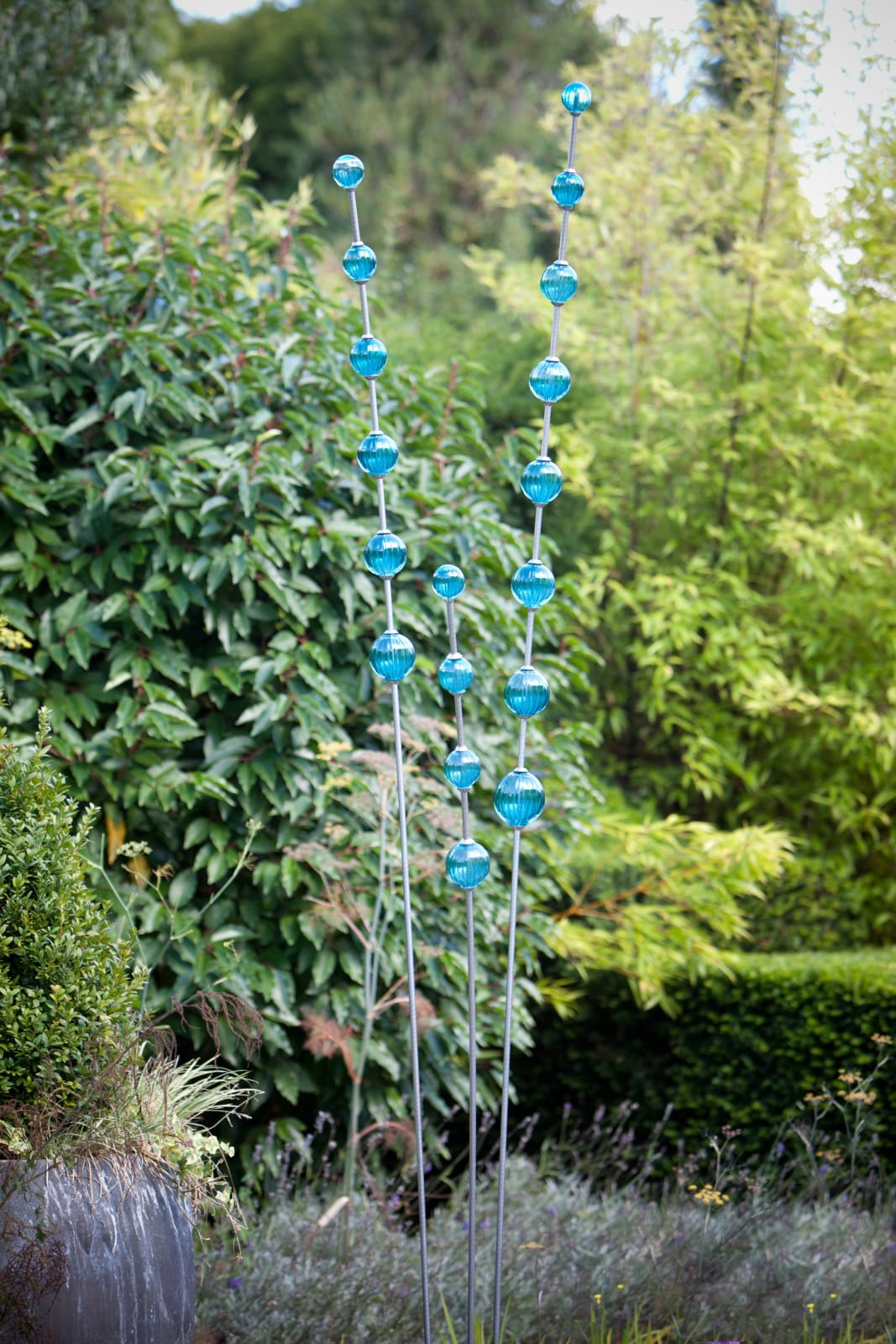 Colin & Louise Hawkins, Plantain II