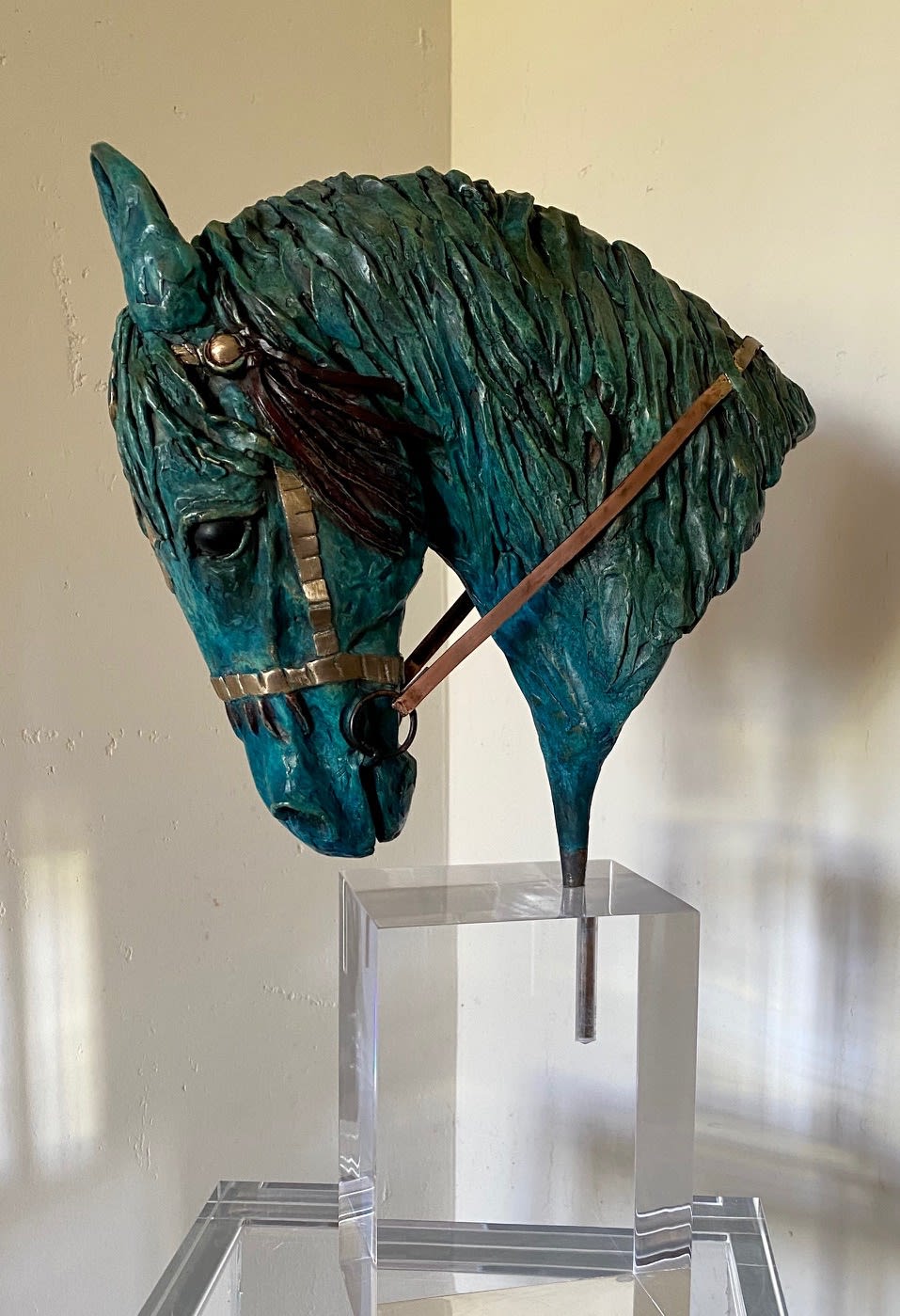 Clare Tupman, Marwari Horse