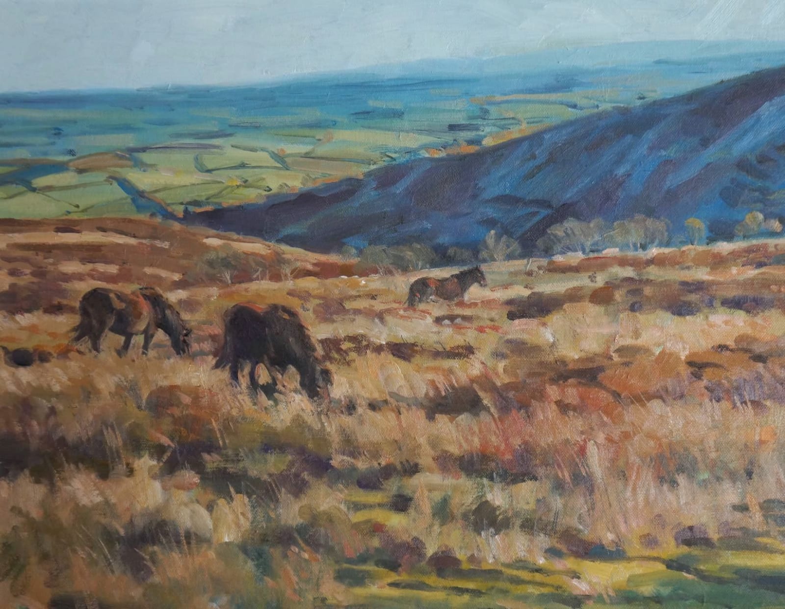 Colin Allbrook, Moorland Light