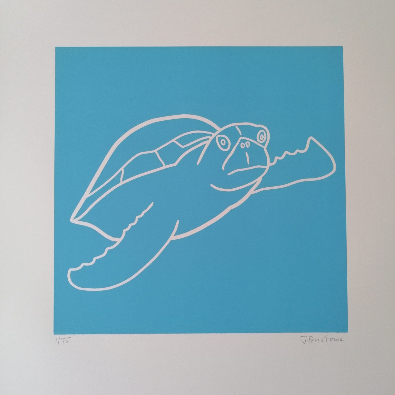 Jane Bristowe, Turtle Navigating , 2020