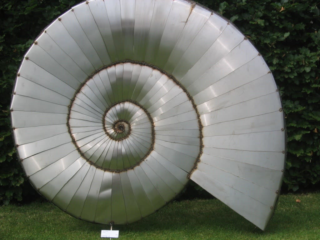 Clare Tupman, Ammonite