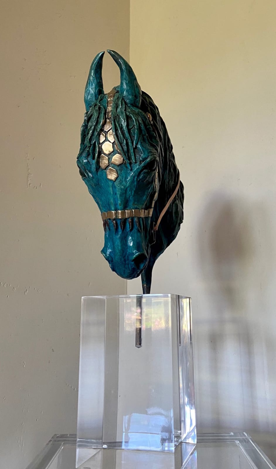Clare Tupman, Marwari Horse