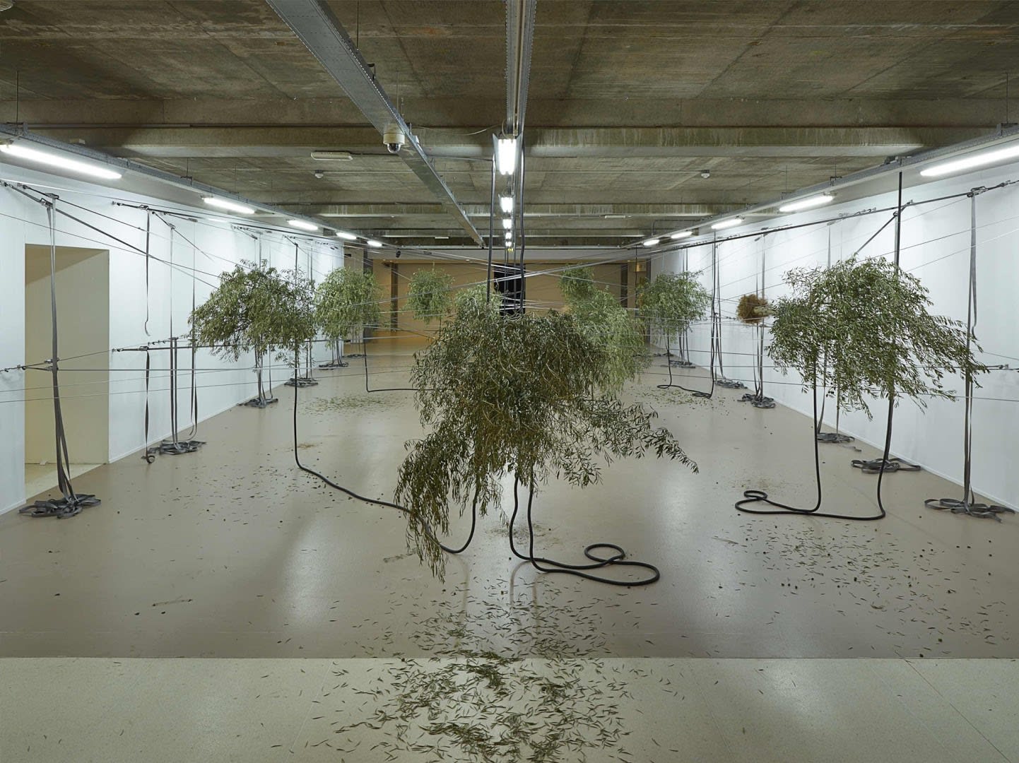 Siobhán Hapaska Installation view Sensory Spaces 5, Museum Boijmans Van Beuningen, Rotterdam, Netherlands, 2015