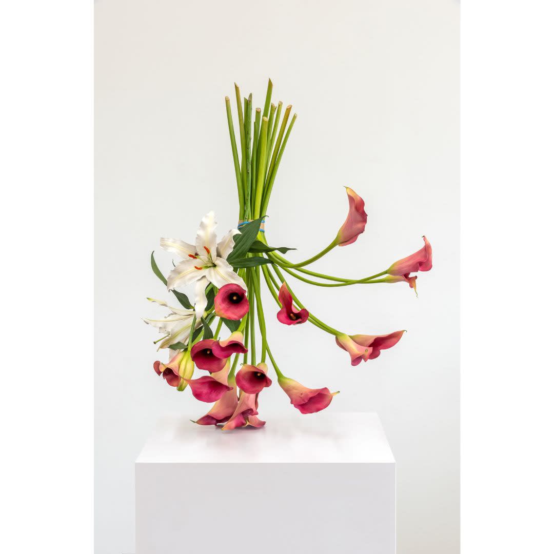 Tony Matelli, Arrangement, 2023