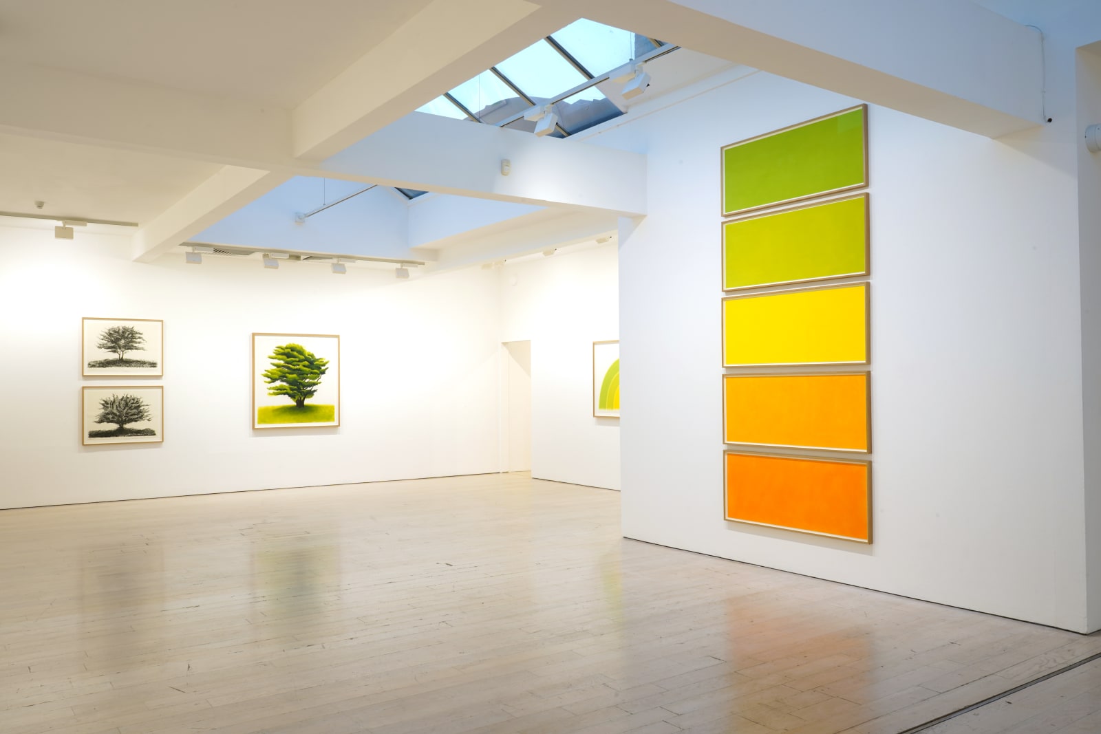 David Nash, 45 Years of Drawing, Annely Juda Fine Art, London, 2024