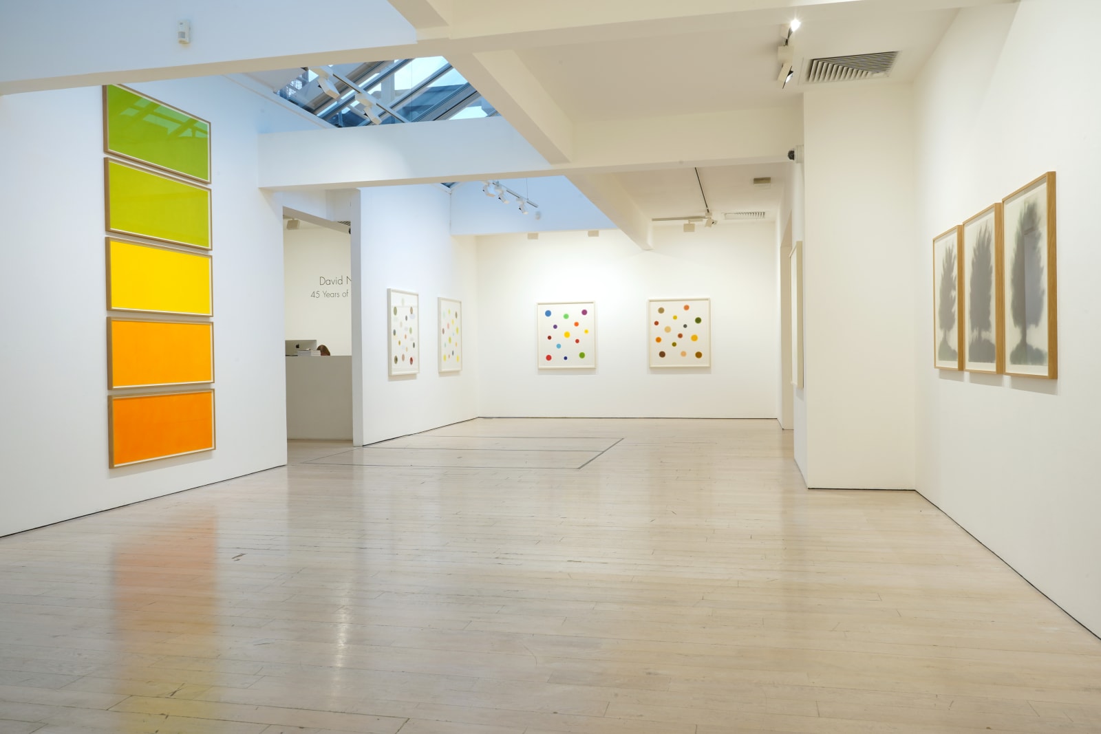 David Nash, 45 Years of Drawing, Annely Juda Fine Art, London, 2024