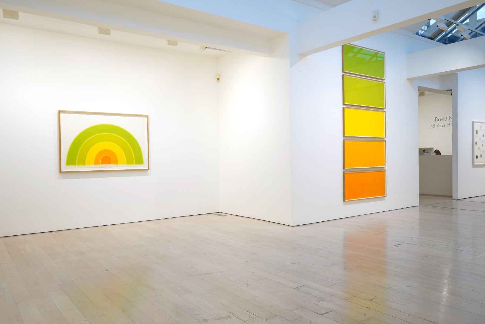 David Nash, 45 Years of Drawing, Annely Juda Fine Art, London, 2024