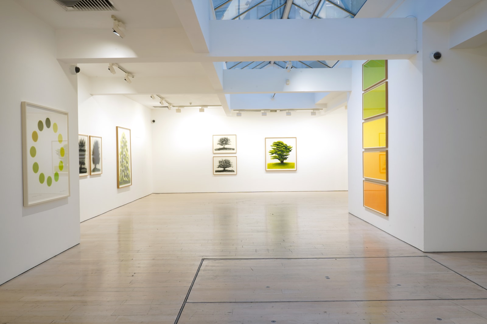 David Nash, 45 Years of Drawing, Annely Juda Fine Art, London, 2024