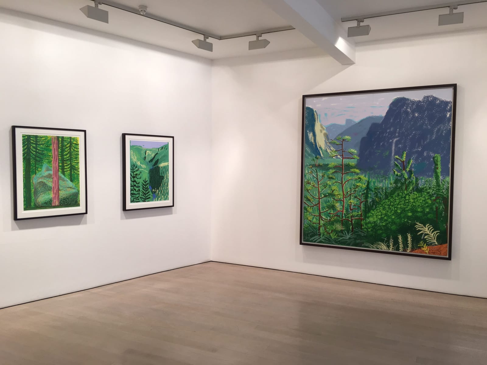 David Hockney installation image @ Annely Juda Fine Art 2016