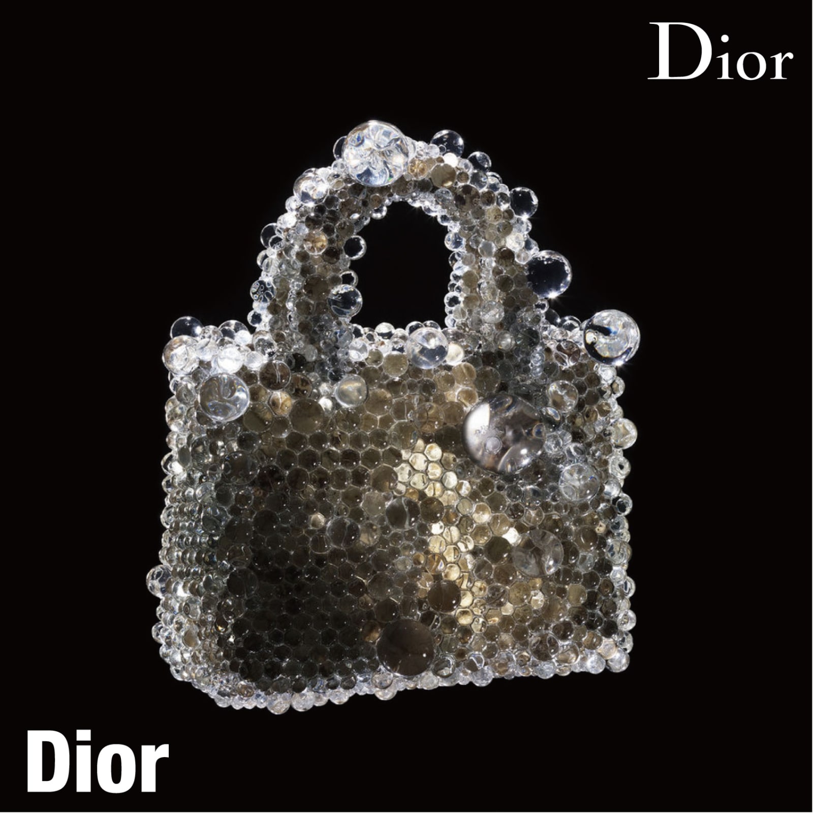 Dior 2011