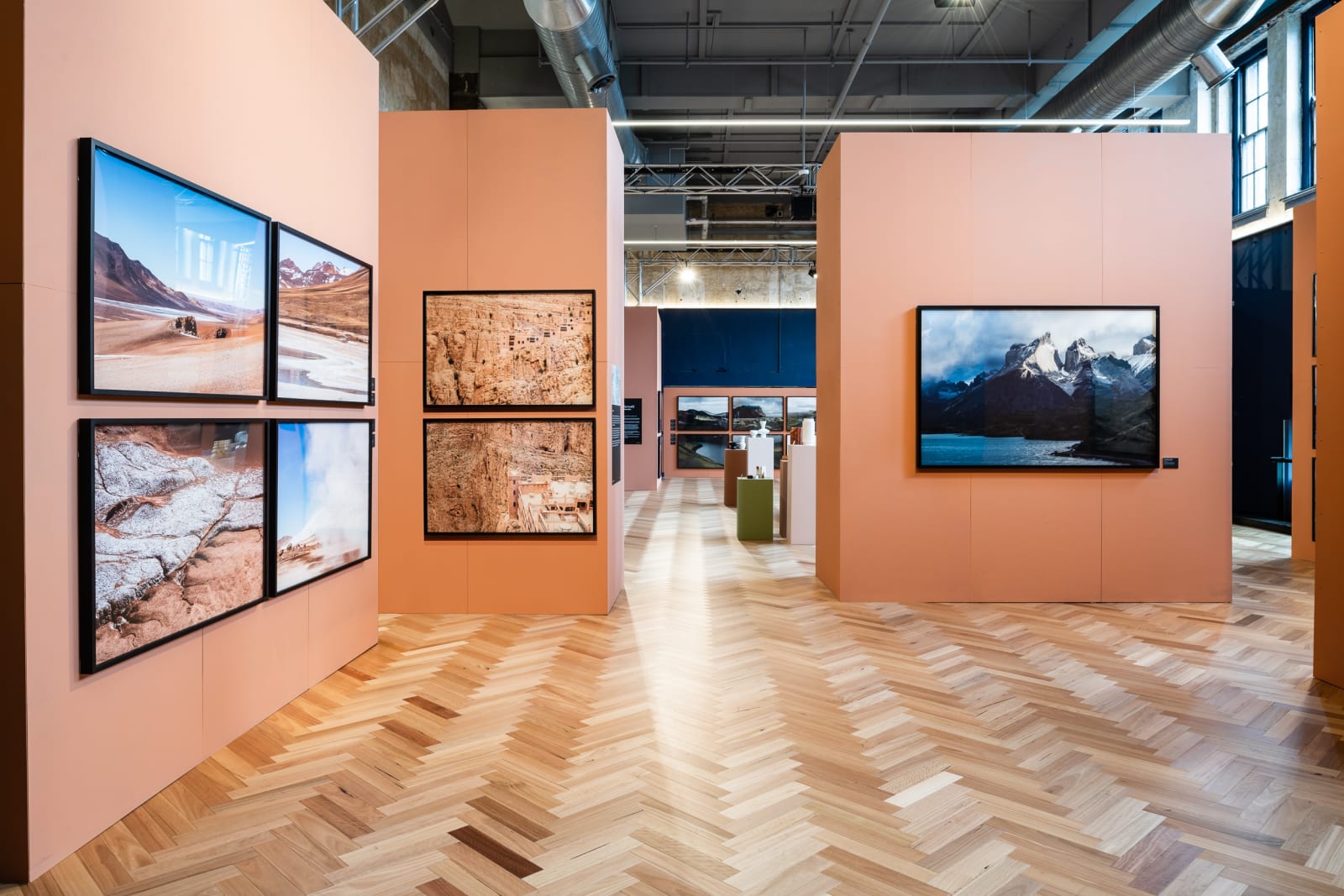 Installation photography by Tom Blachford.