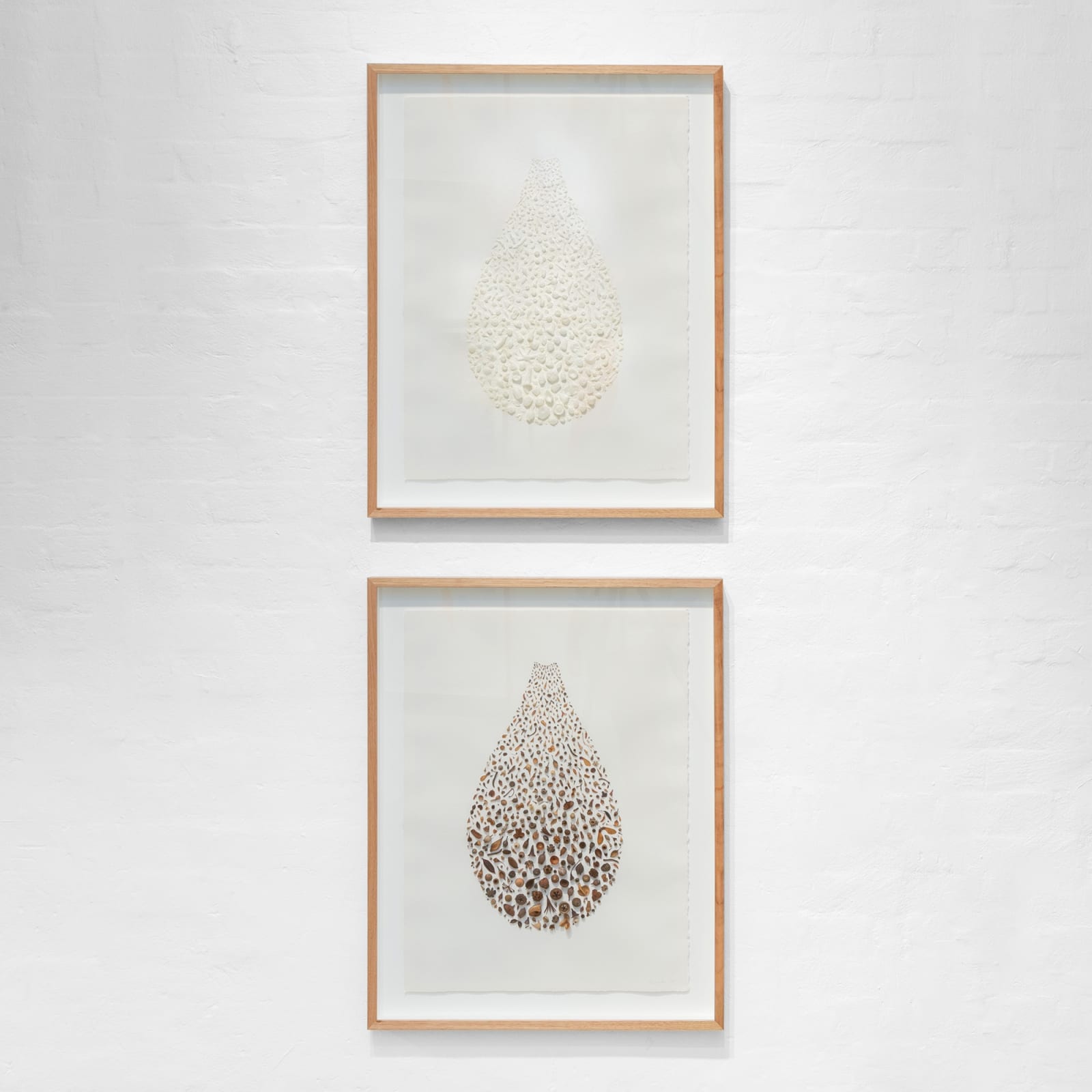 Shona Wilson, Receding / Seedling, seedpods and seeds on paper, 86 x 66 cm (framed)