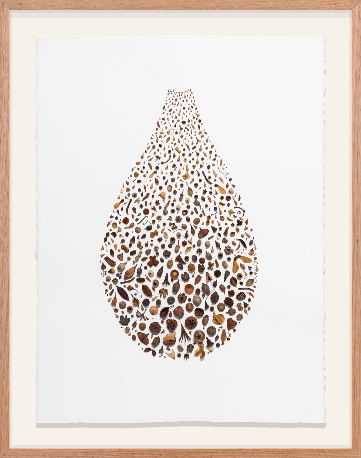‘Seeding/Receding’, seedpods, seeds and found materials on paper, 86 x 66 cm (framed)