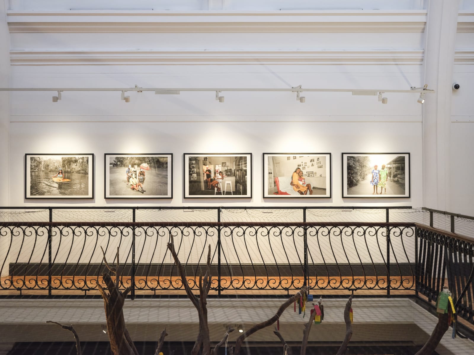Installation view of 'Adolescent Wonderland' at Horniman Museum and Gardens. Copyright Horniman Museum and Gardens