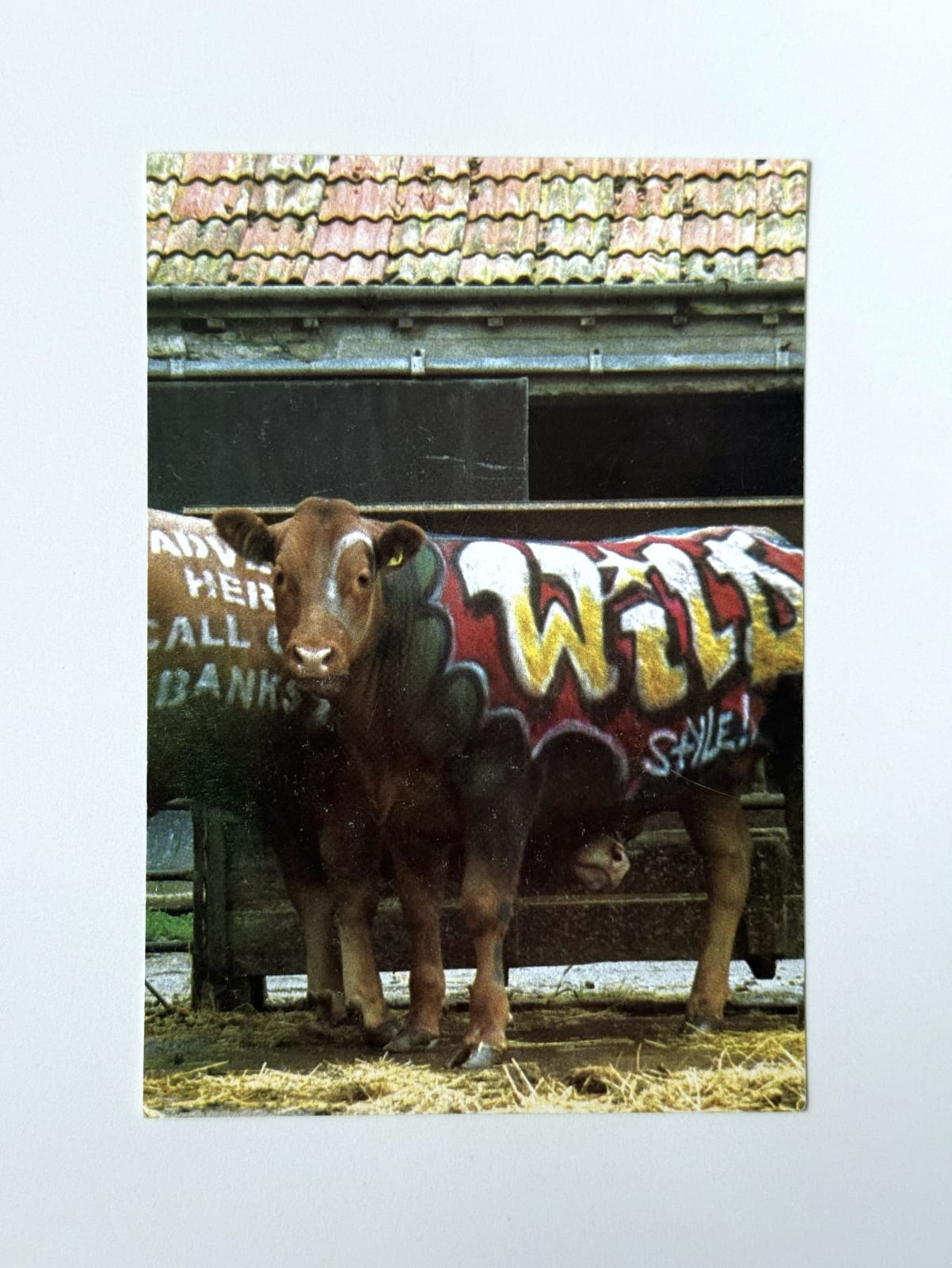 Banksy, 'WILD STYLE' ('TURF WAR' EXHIBITION PROMO CARD), 2003