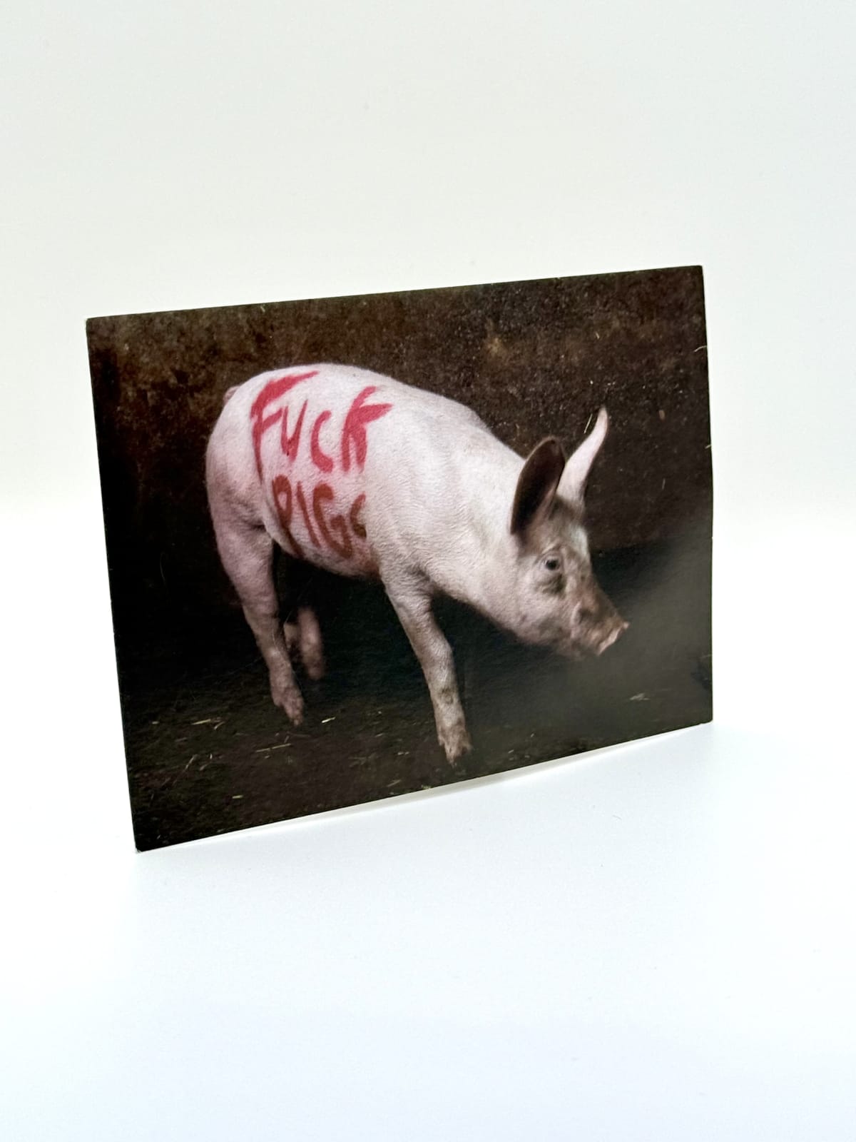 Banksy, 'Fuck Pigs' (Turf War Exhibition card), 2003
